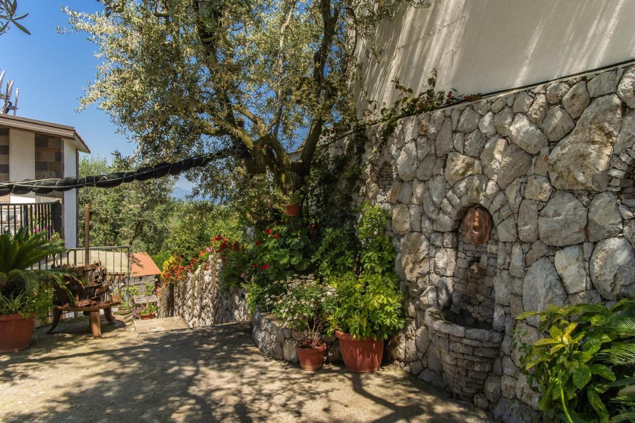 Villa Mattia In The Land Of Sirens 산트아구타수이두에골피 외부 사진